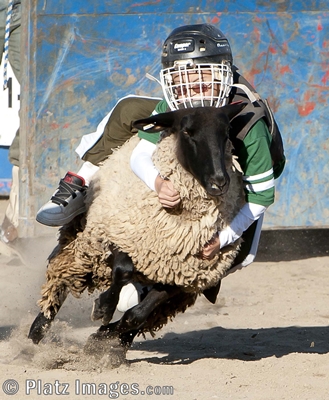 Mutton Bustin