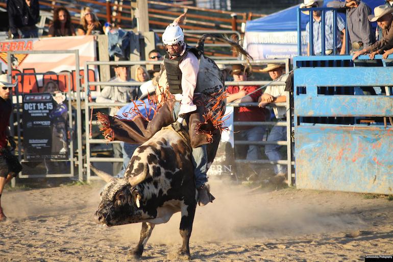 Ohio-Pro-Bull-Riding