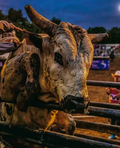 Our Events – Buckin' Ohio